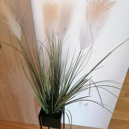 I&k-13-titova شقة