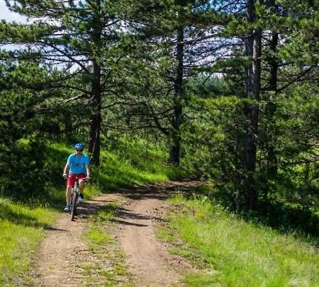 شقة I&k-13-titova *