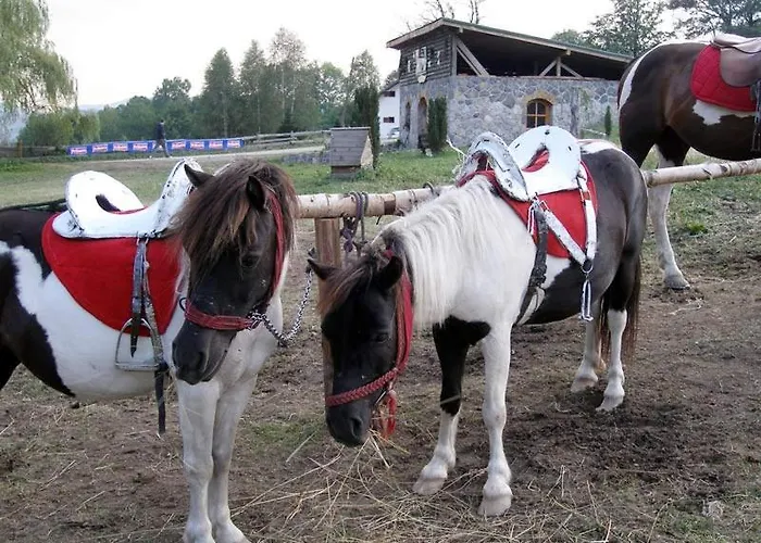 I&k-13-titova Daire Zlatibor